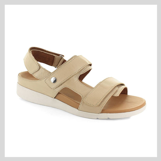 Strive Aruba Almond